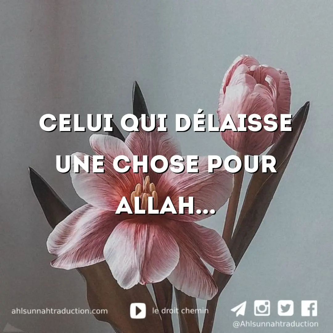  بسلام آمنين (2)