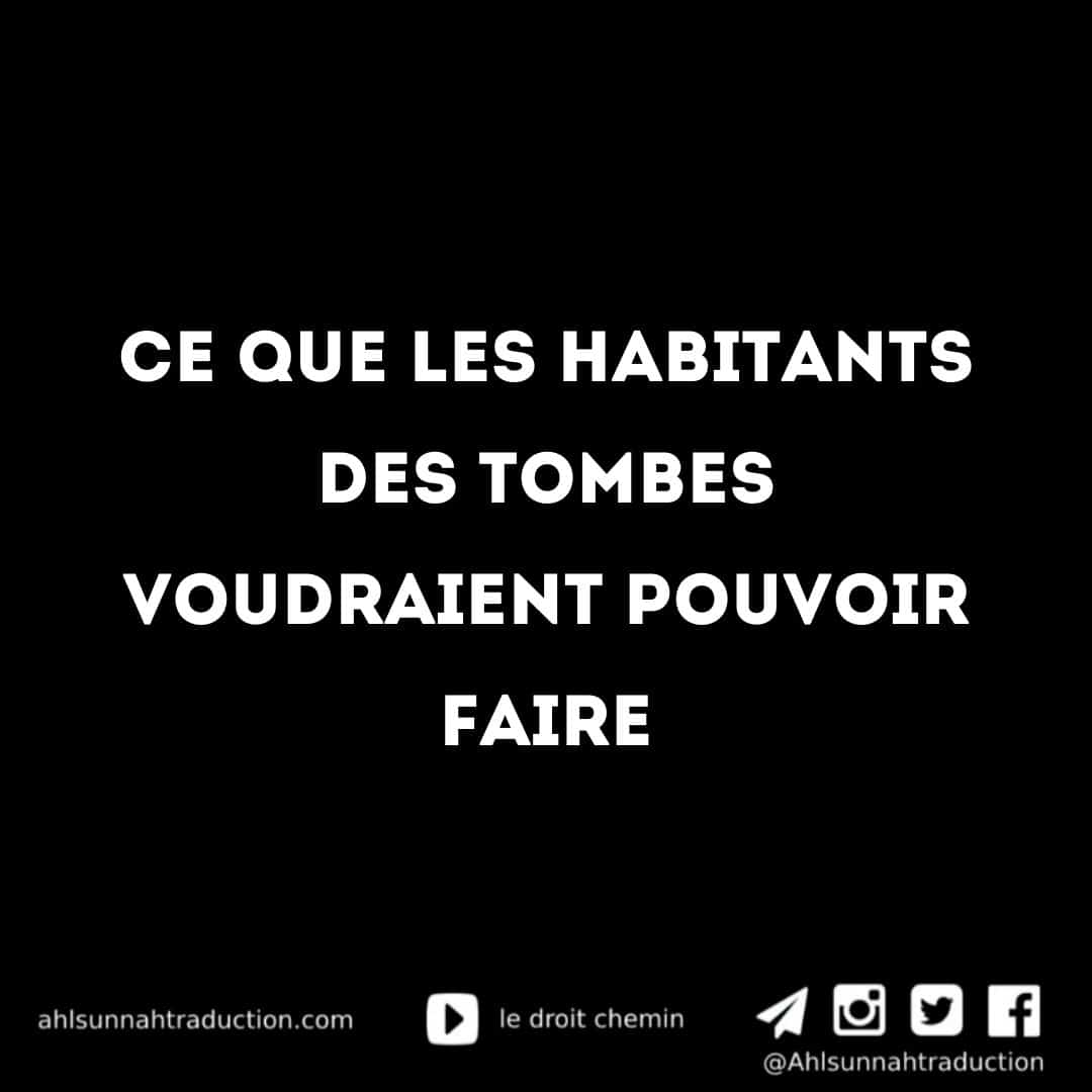 Ecoute ce que les habitants des tombes voudraient faire