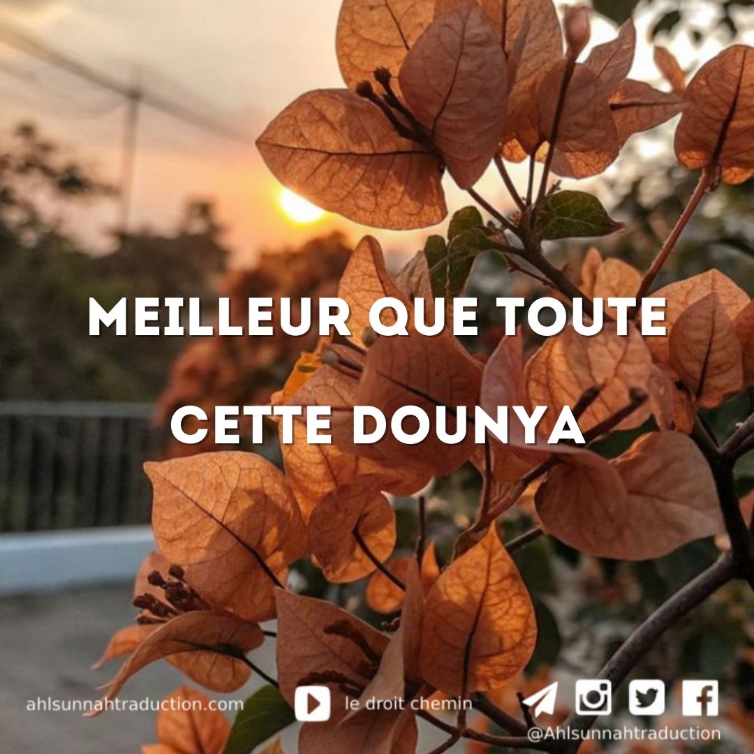 Meilleur que toute cette dounya