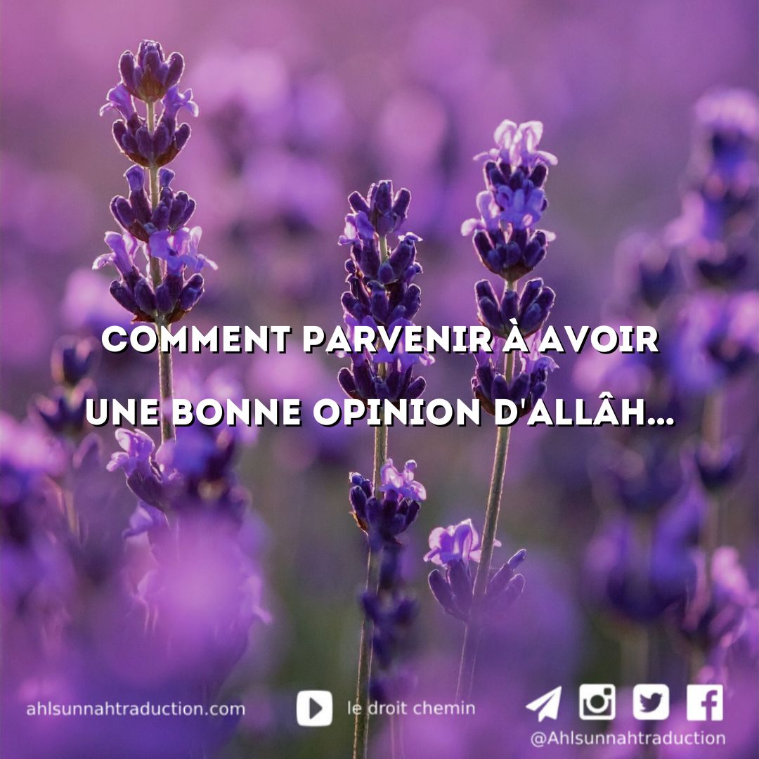 Comment parvenir à avoir une bonne opinion d&rsquo;Allāh…