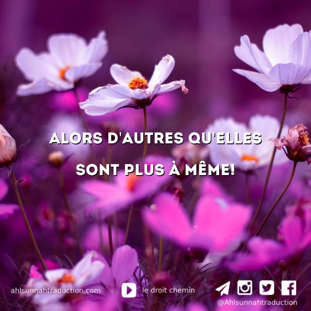 Alors d’autres qu’elles sont plus à même!